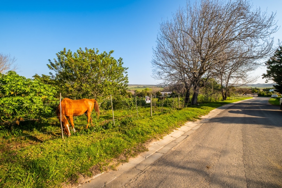Commercial Property for Sale in Baardskeerdersbos Western Cape